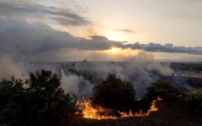 آتش در دل شبه جزیره میانکاله ۳ هکتار از طبیعت زیبای ان را سوزاند